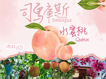 司馬庫斯水蜜桃